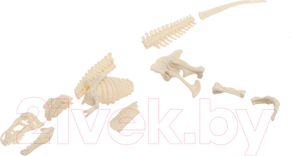 Изображение товара Научная игра Эврики Диномир. Тираннозавр. Строение тела динозавра 301 / 10179823