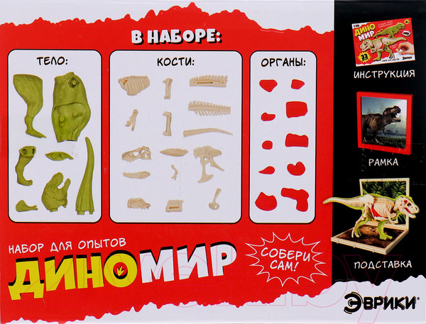 Изображение товара Научная игра Эврики Диномир. Тираннозавр. Строение тела динозавра 301 / 10179823