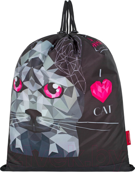 Изображение товара Школьный рюкзак Across 23-490-13