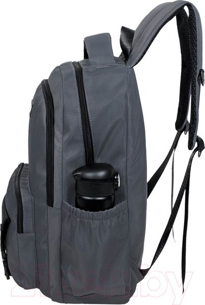 Изображение товара Школьный рюкзак Merlin M2909 (темно-серый)