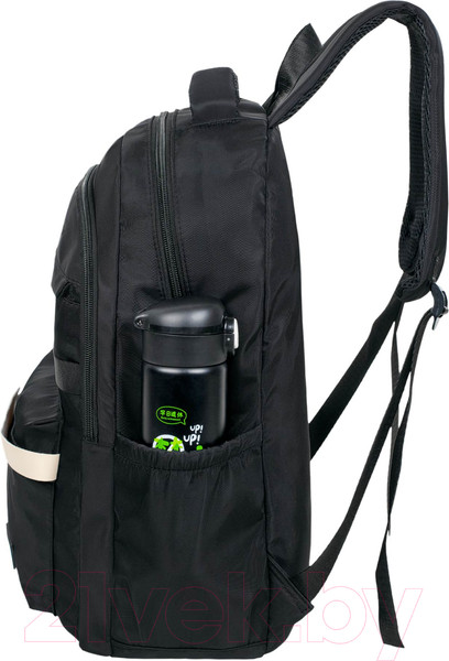 Изображение товара Школьный рюкзак Merlin M37163 (черный)