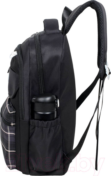 Изображение товара Школьный рюкзак Merlin M16141 (черный)