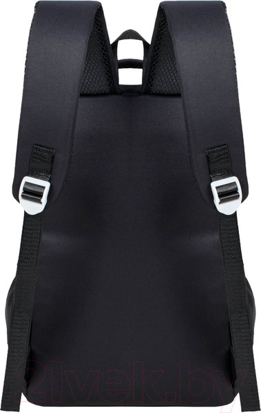 Изображение товара Школьный рюкзак Merlin M16141 (черный)