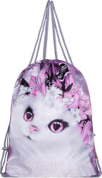 Изображение товара Школьный рюкзак Across HK23-12