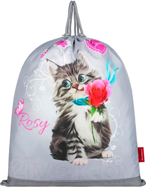 Изображение товара Школьный рюкзак Across 23-490-18