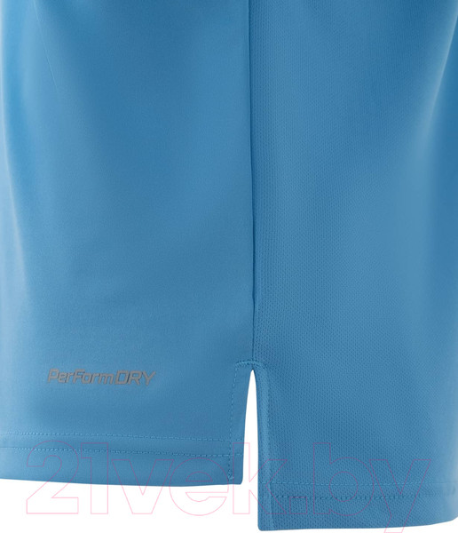 Изображение товара Футболка игровая футбольная Jogel Division PerFormDRY Union Jersey (S, голубой/белый/белый)