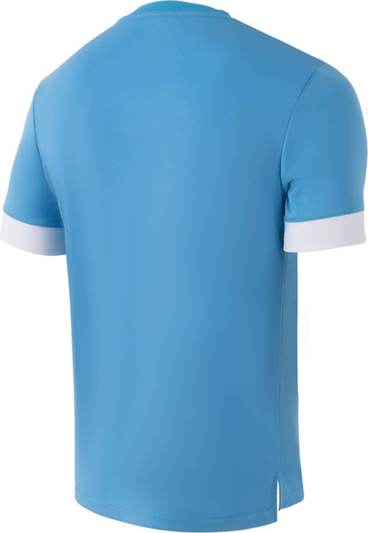 Изображение товара Футболка игровая футбольная Jogel Division PerFormDRY Union Jersey (XL, голубой/белый/белый)