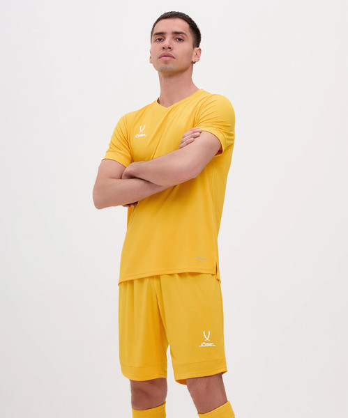 Изображение товара Футболка игровая футбольная Jogel Division PerFormDRY Union Jersey (S, желтый)