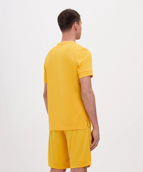 Изображение товара Футболка игровая футбольная Jogel Division PerFormDRY Union Jersey (S, желтый)