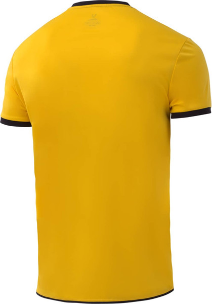 Изображение товара Футболка волейбольная Jogel Camp JC3ST0121.61-K (M, желтый)
