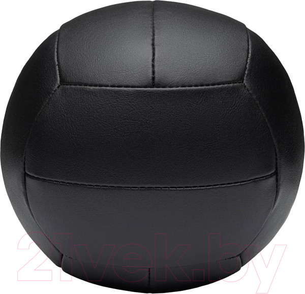 Изображение товара Медицинбол Insane IN24-WB100 (3кг, голубой)