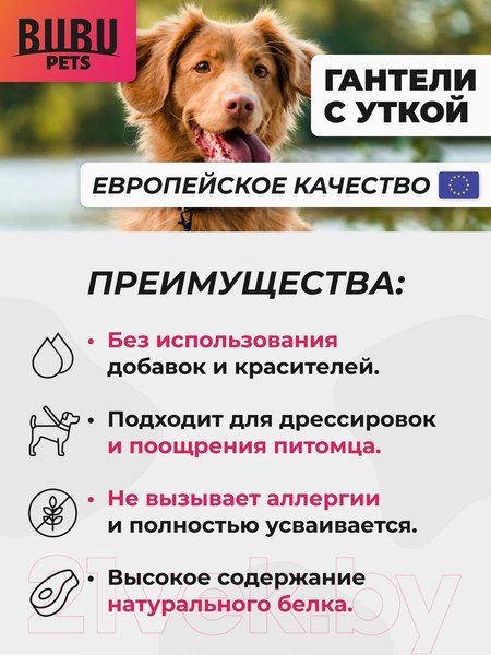 Изображение товара Лакомство для собак Bubu Pets Гантели с уткой / PS0007 (500г)