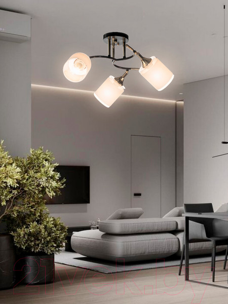 Изображение товара Спот Aitin-Pro НПБ 02-3x60-101 / N6089/3 (кофе/золото)