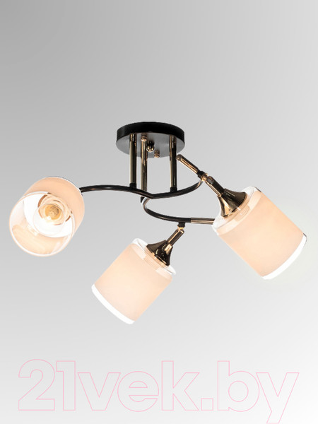 Изображение товара Спот Aitin-Pro НПБ 02-3x60-101 / N6089/3 (кофе/золото)