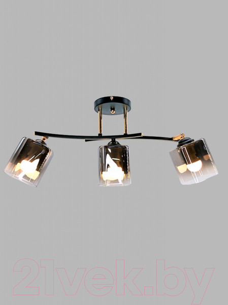 Изображение товара Спот Aitin-Pro НПБ 02-3х60-101 / XA1439/3