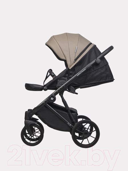 Изображение товара Детская универсальная коляска Riko Montana Ecco 2 в 1 (22/Beige)
