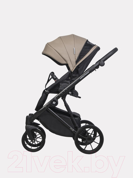 Изображение товара Детская универсальная коляска Riko Montana Ecco 2 в 1 (22/Beige)
