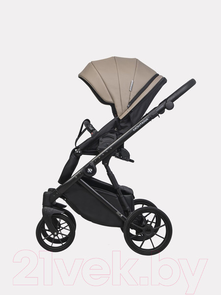 Изображение товара Детская универсальная коляска Riko Montana Ecco 2 в 1 (22/Beige)