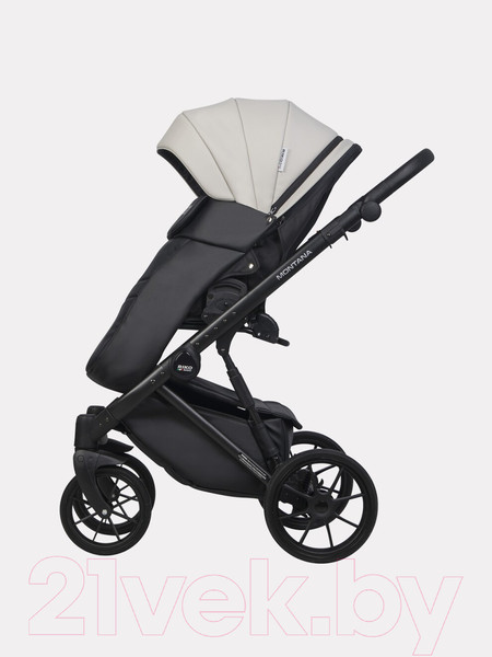 Изображение товара Детская универсальная коляска Riko Montana Ecco 2 в 1  (31, Light Silver/Black)