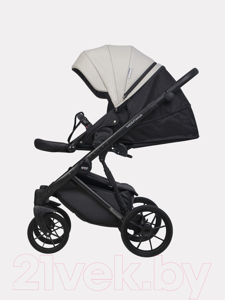 Изображение товара Детская универсальная коляска Riko Montana Ecco 2 в 1  (31, Light Silver/Black)