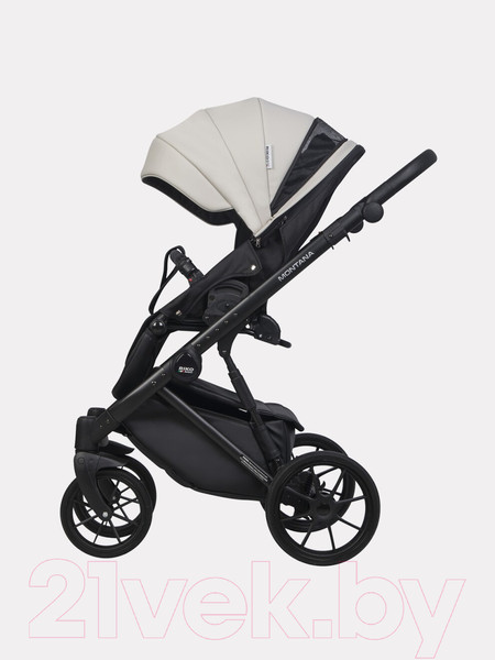 Изображение товара Детская универсальная коляска Riko Montana Ecco 2 в 1  (31, Light Silver/Black)