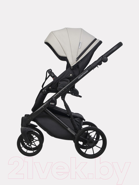 Изображение товара Детская универсальная коляска Riko Montana Ecco 2 в 1  (31, Light Silver/Black)
