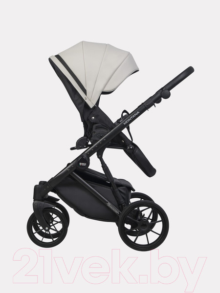Изображение товара Детская универсальная коляска Riko Montana Ecco 2 в 1  (31, Light Silver/Black)