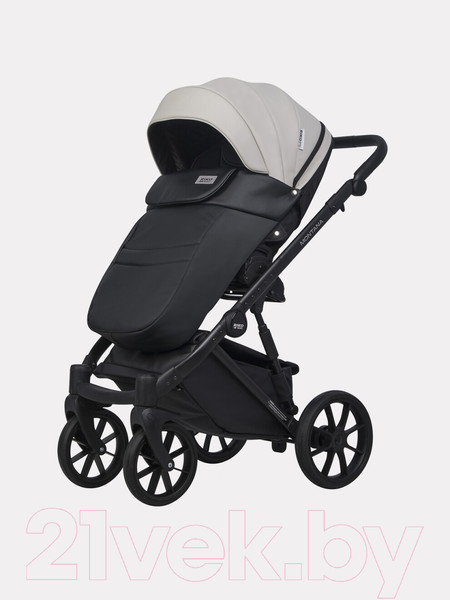 Изображение товара Детская универсальная коляска Riko Montana Ecco 2 в 1  (31, Light Silver/Black)