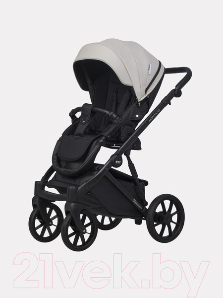 Изображение товара Детская универсальная коляска Riko Montana Ecco 2 в 1  (31, Light Silver/Black)
