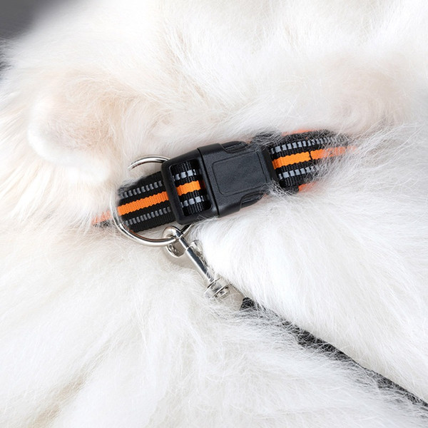 Изображение товара Ошейник Рыжий кот 108132 (38-47см, оранжевый)