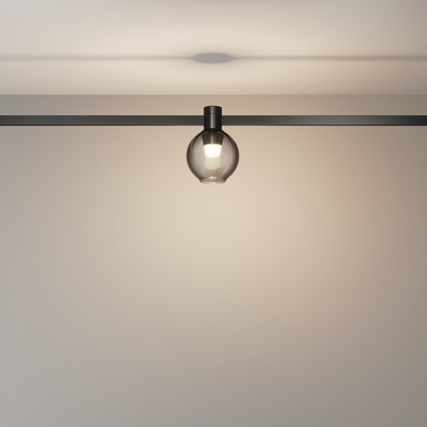 Изображение товара Трековый светильник Maytoni TR148-1-3W3K-B