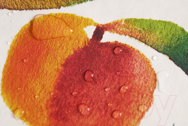 Изображение товара Скатерть Stolima Dunya Сочные персики (220x130, белый)