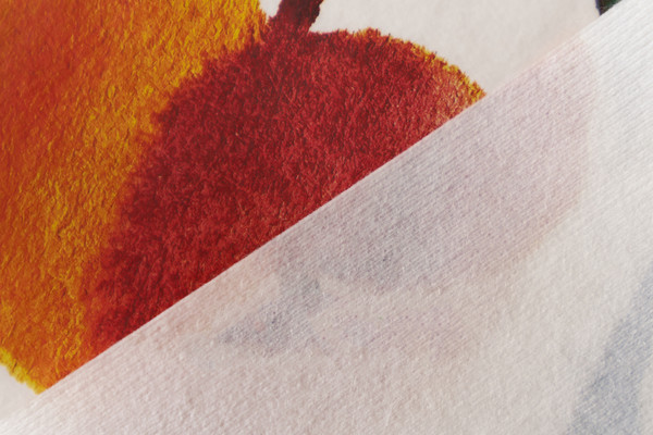 Изображение товара Скатерть Stolima Napco Сочные персики (160x130, белый)