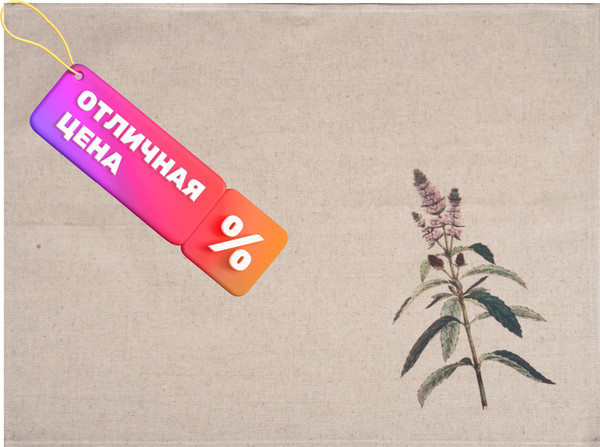 Набор полотенец Pole Kvetak (Беларускі лён) 45x60 22С145-ШР+К/п.р/фкор (295 прованские травы 1)