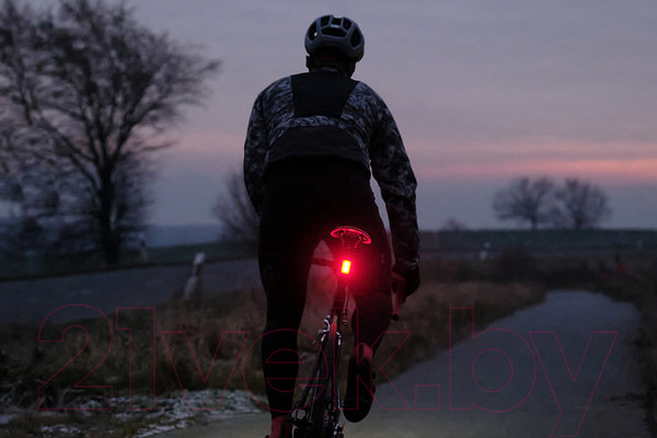 Изображение товара Фонарь для велосипеда Sigma Buster RL 150 USB / 15600-SGM