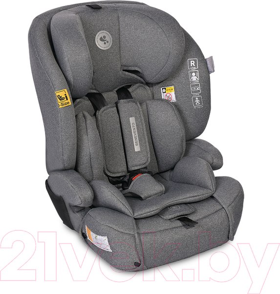 Изображение товара Автокресло Lorelli Benevento Isofix Grey / 10071772406