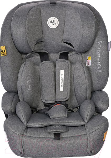 Изображение товара Автокресло Lorelli Benevento Isofix Grey / 10071772406
