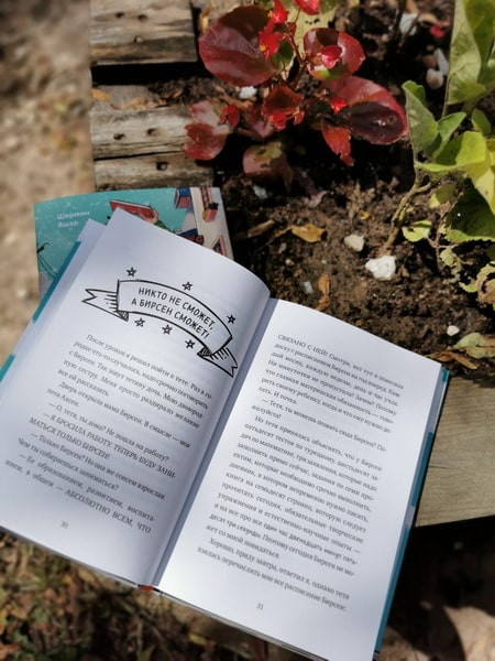 Изображение товара Книга МИФ Амир и безумный ингредиент твердая обложка (Яшар Шермин)