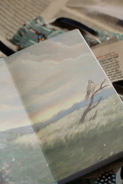 Изображение товара Книга МИФ Пташка / 9785002145300 (Скворцова К.)