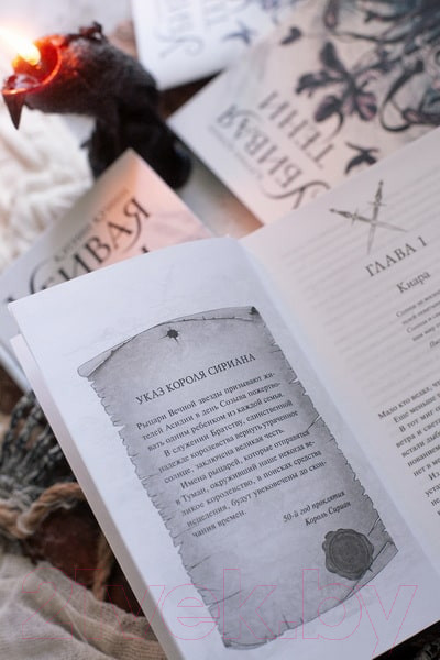 Изображение товара Книга МИФ Убивая тени / 9785002146161 (Куинн К.)