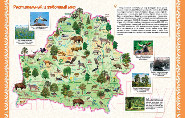 Изображение товара Атлас Белкартография Моя Беларусь. Большой 2024