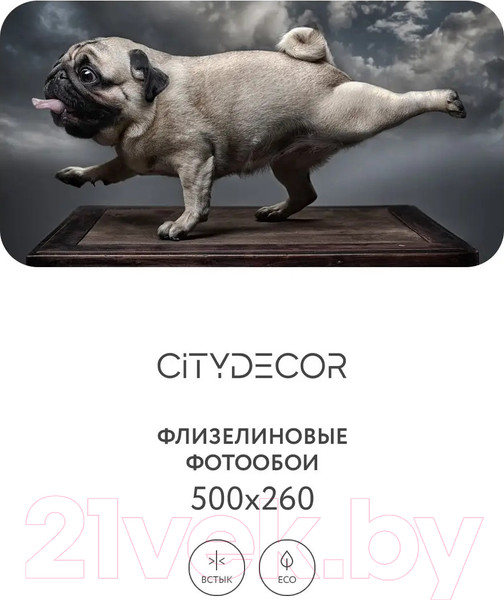 Изображение товара Фотообои листовые Citydecor Животные и птицы 13 (500x260см)