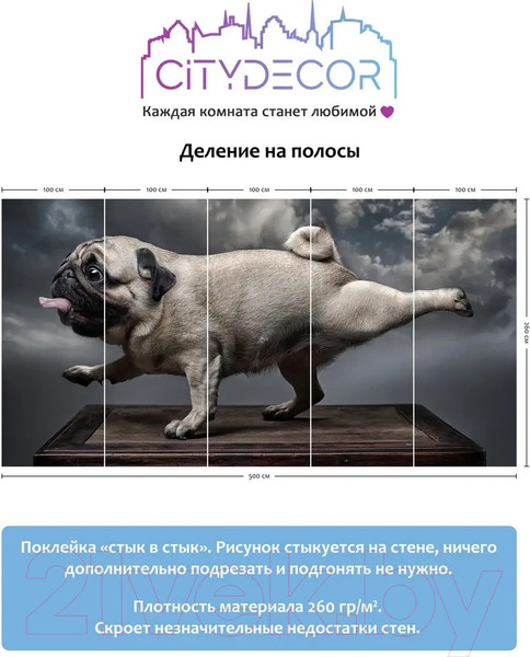 Изображение товара Фотообои листовые Citydecor Животные и птицы 13 (500x260см)