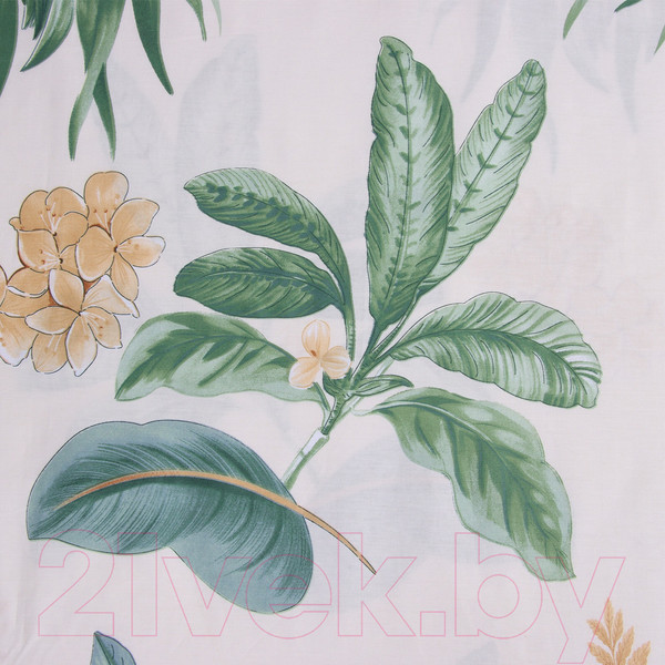 Изображение товара Комплект постельного белья Love Life Тропики 2сп / 10416703