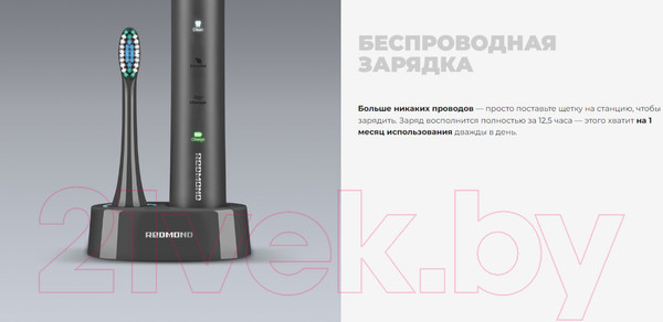 Изображение товара Звуковая зубная щетка Redmond TB4601 (серый)