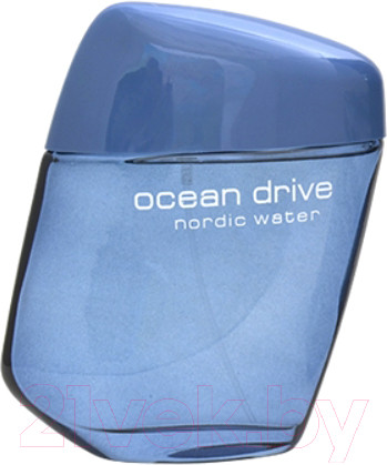 Изображение товара Туалетная вода Positive Parfum Ocean Drive Nordic Water (100мл)