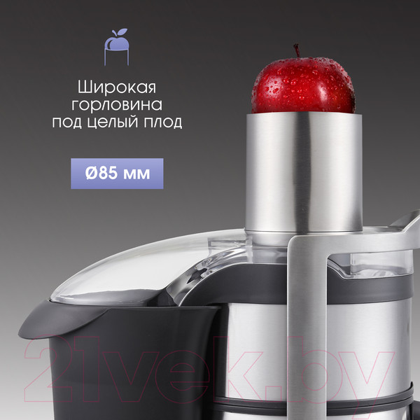 Изображение товара Соковыжималка электрическая Zigmund & Shtain EJ-755