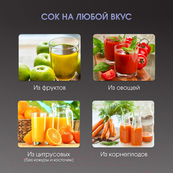 Изображение товара Соковыжималка электрическая Zigmund & Shtain EJ-755