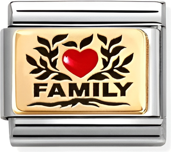 Изображение товара Звено для браслета NominatioN Family с красным сердцем 030289/07