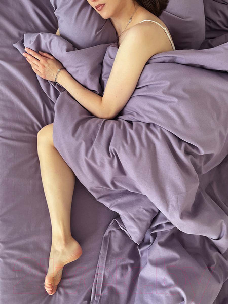 Изображение товара Пододеяльник Mio Tesoro 215х175 / Лен175По-12